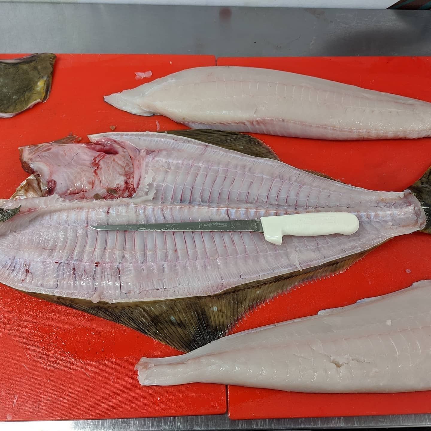 Whole Halibut Event • Effing Seafoods