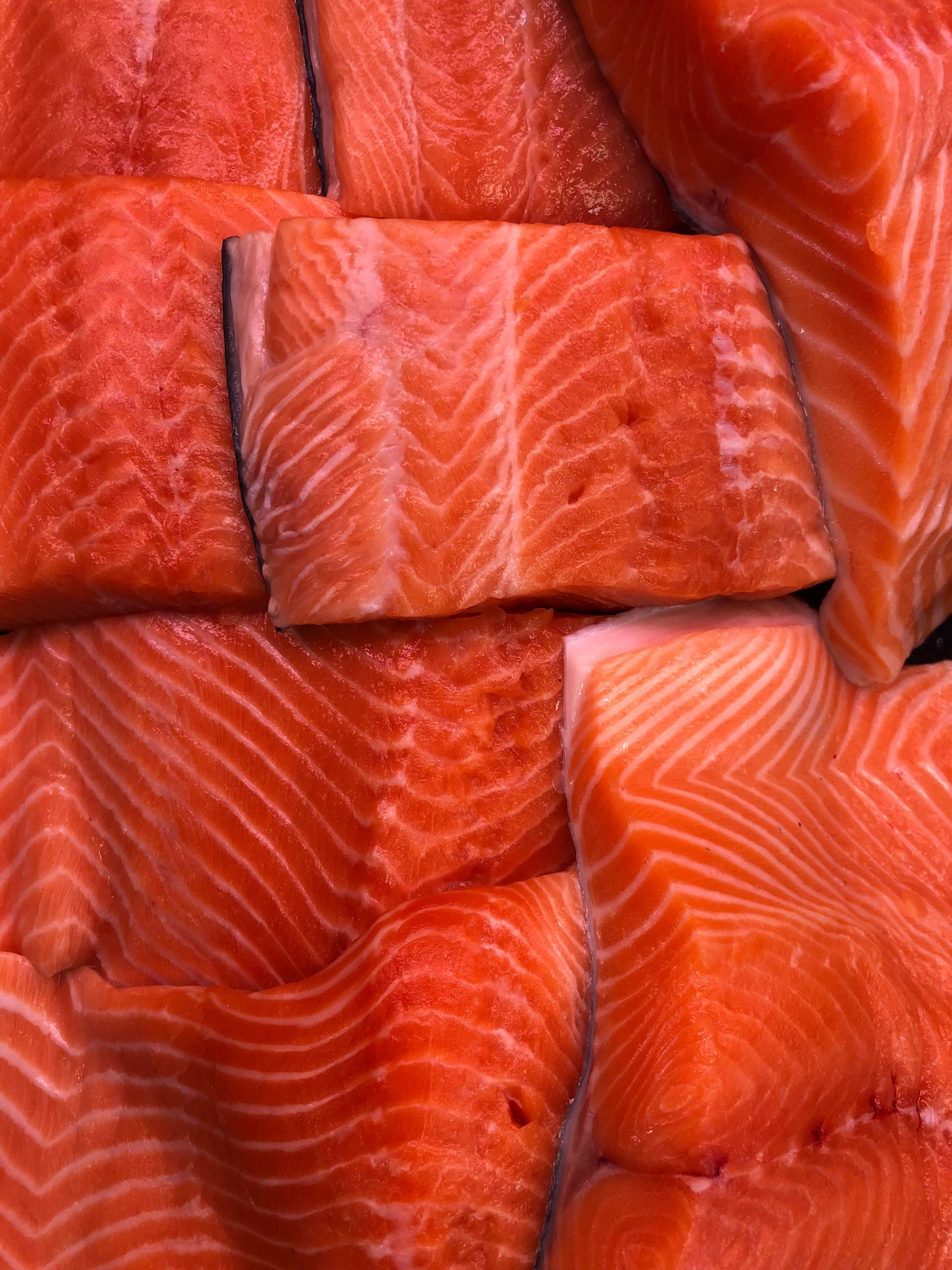 Regal Salmon