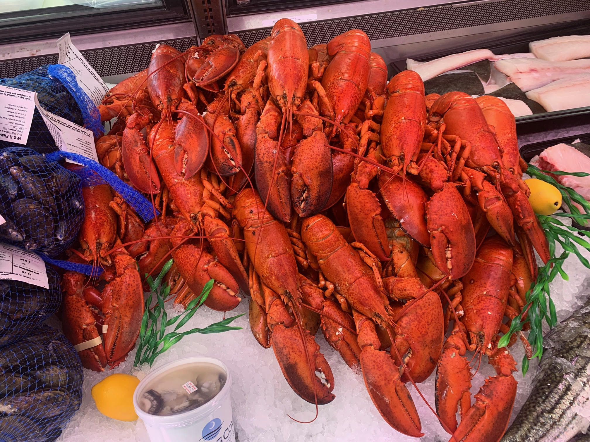 Cooked Lobster- $15 Deposit - Remainder due at Pick-Up