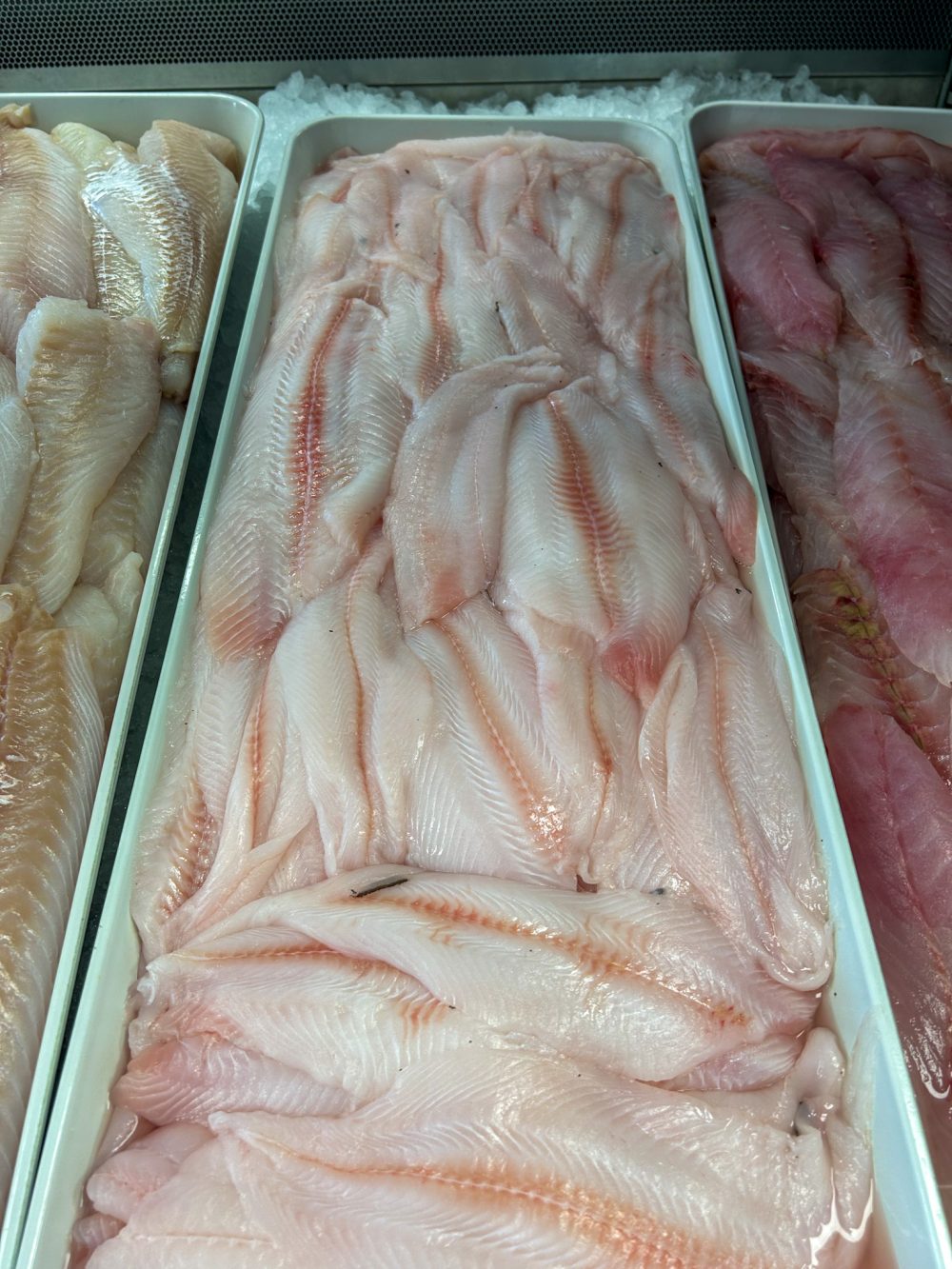 Dover Sole - British Columbia