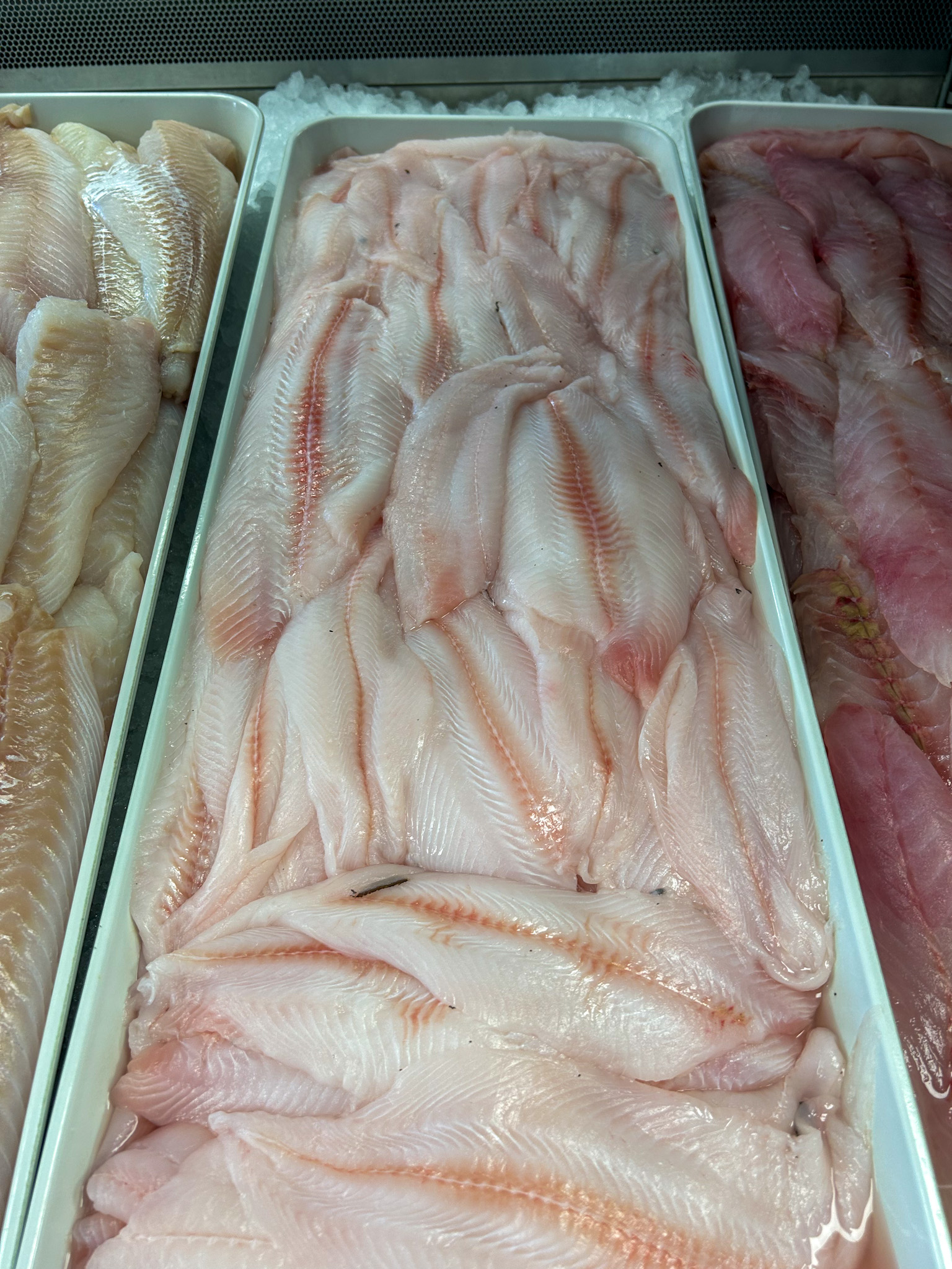 Dover Sole - British Columbia