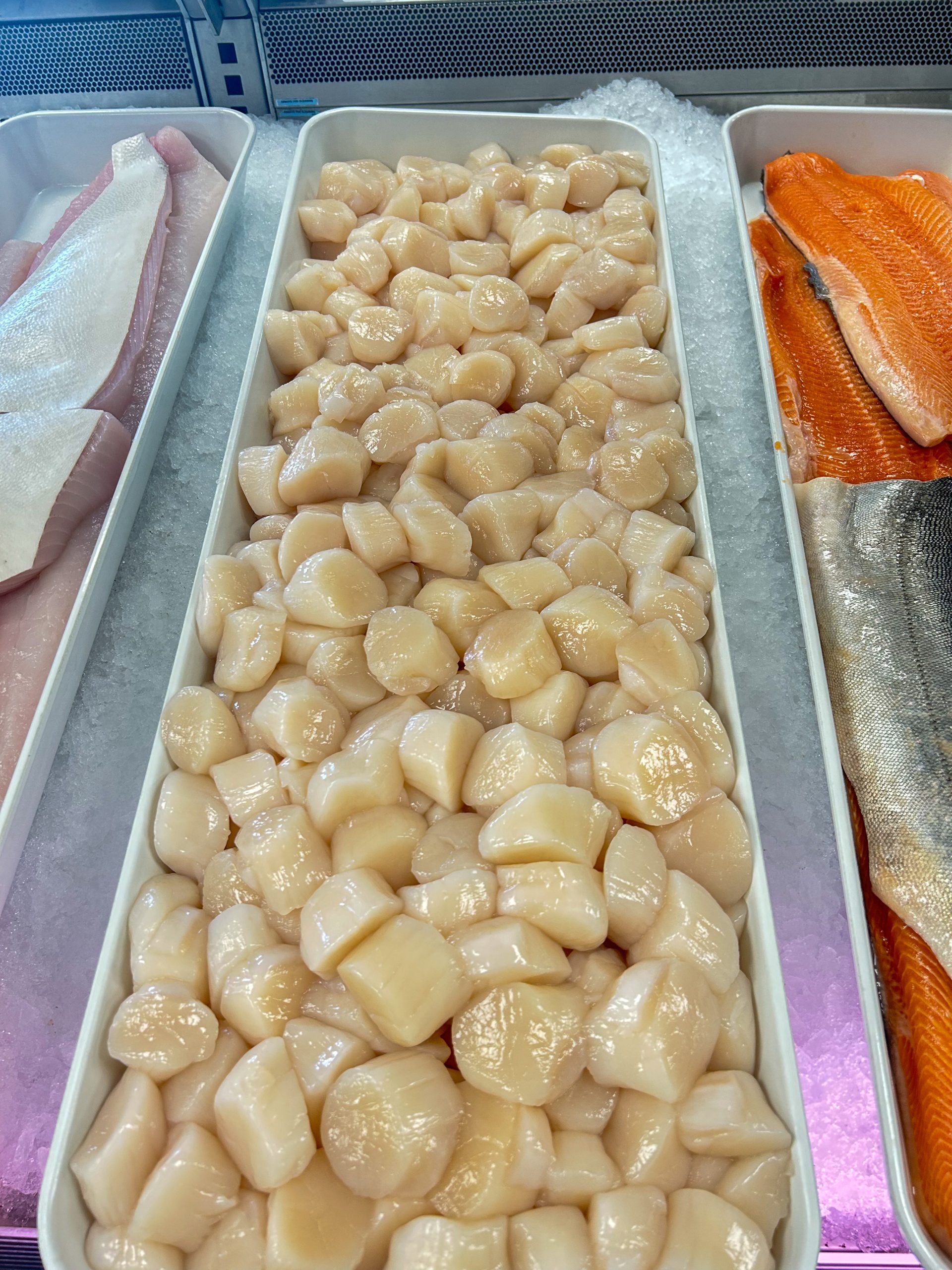 10/20 Scallops - Maine