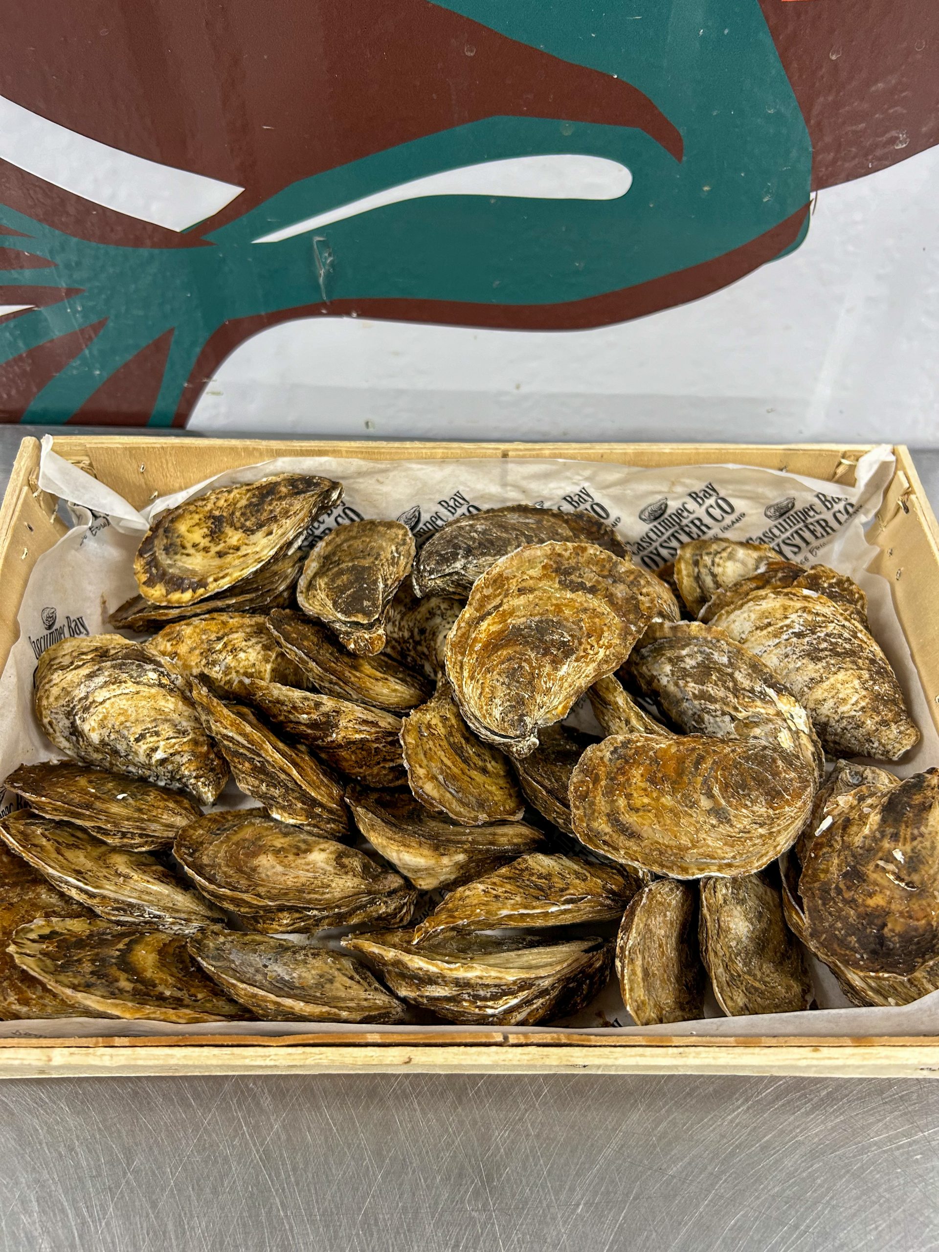 East Coast Oysters - 1 Dozen Bag (Live) - Image 2