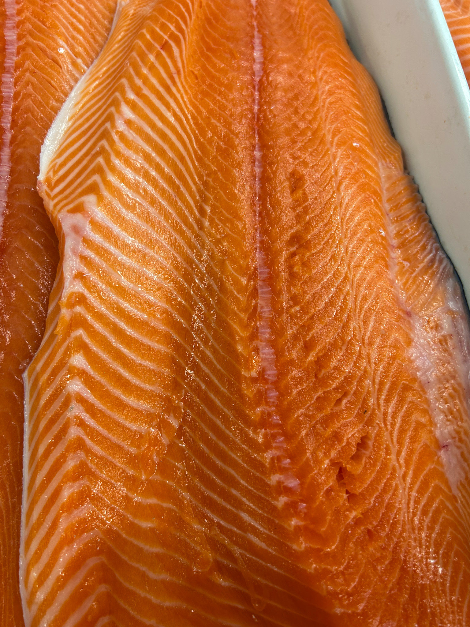King Salmon Fillets - New Zealand