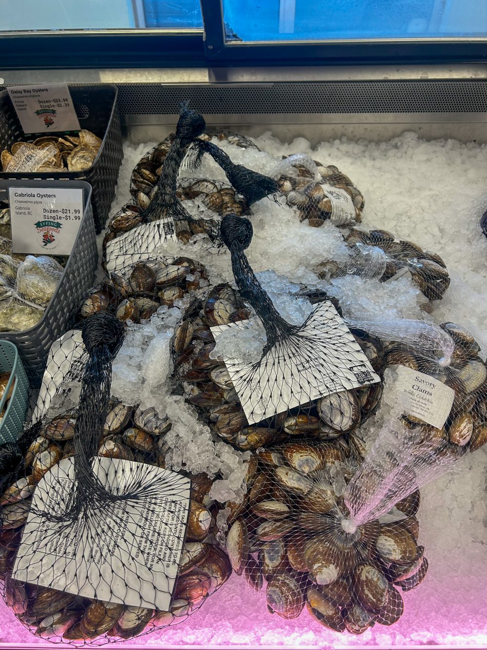 Live Savory Clams - British Columbia