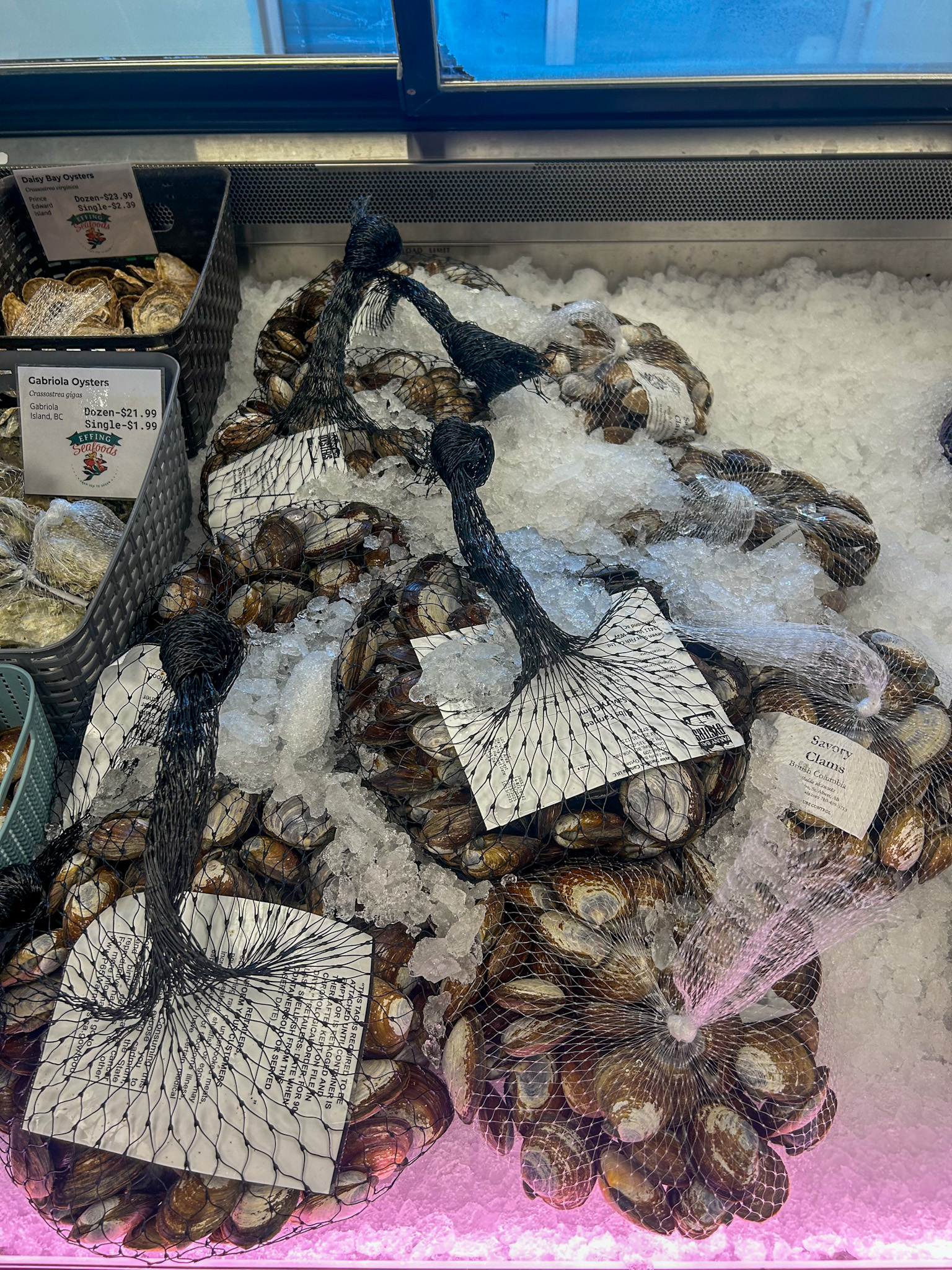 Live Savory Clams - British Columbia