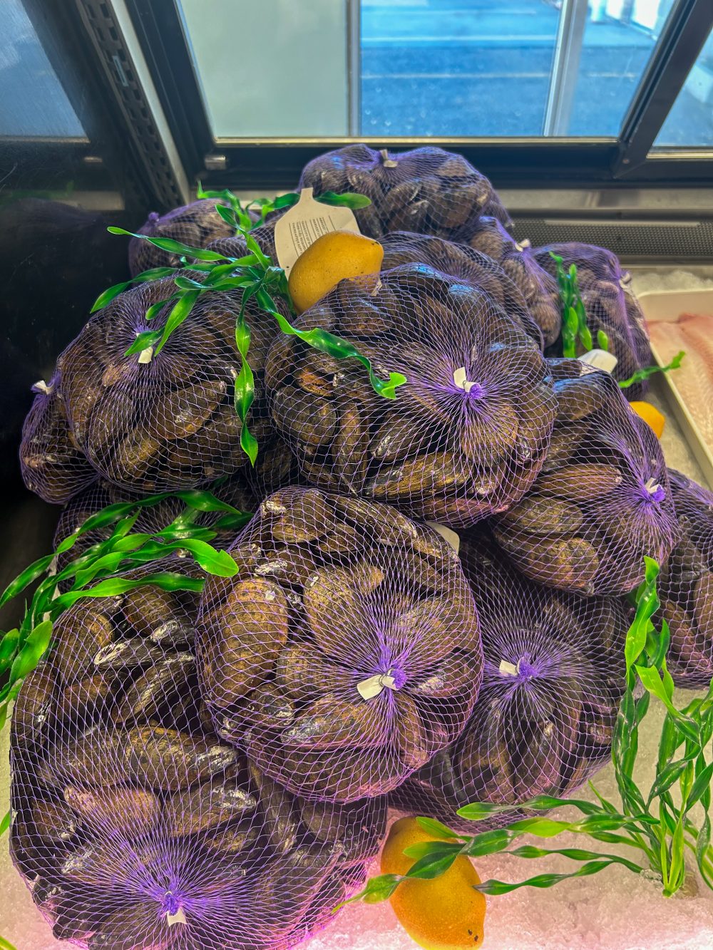 PEI Mussels - Live