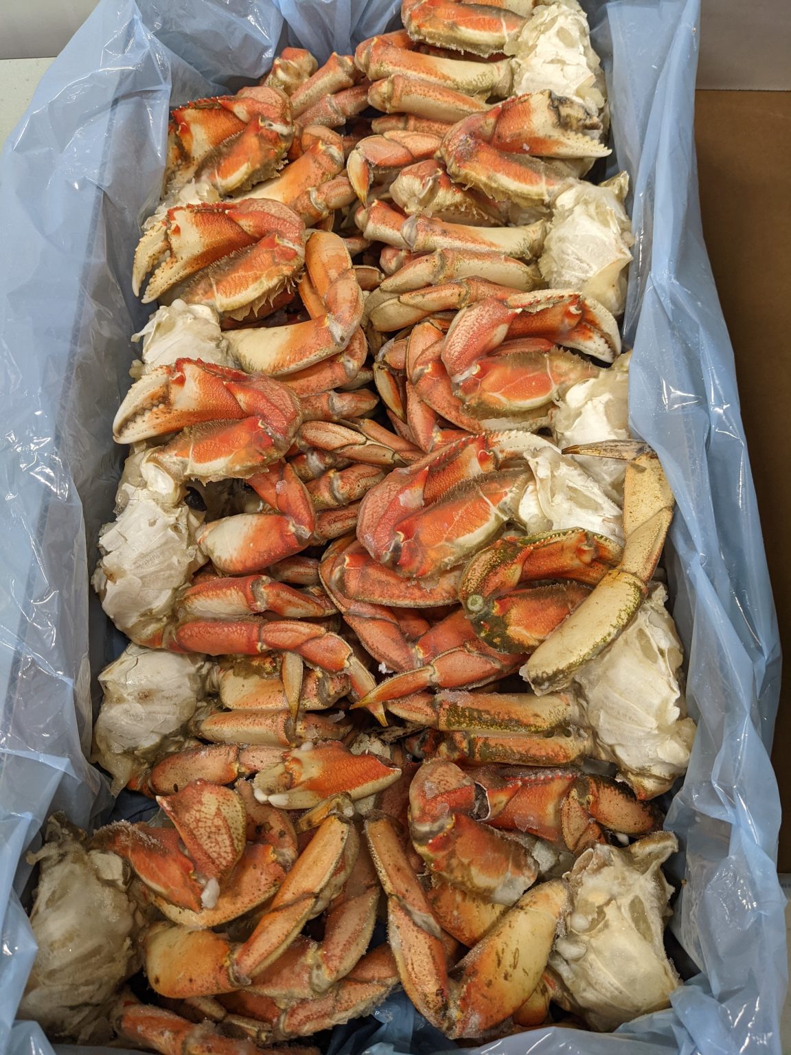 Effing Seafoods Fresh and Frozen Edmonton, Albetra Seafood Store