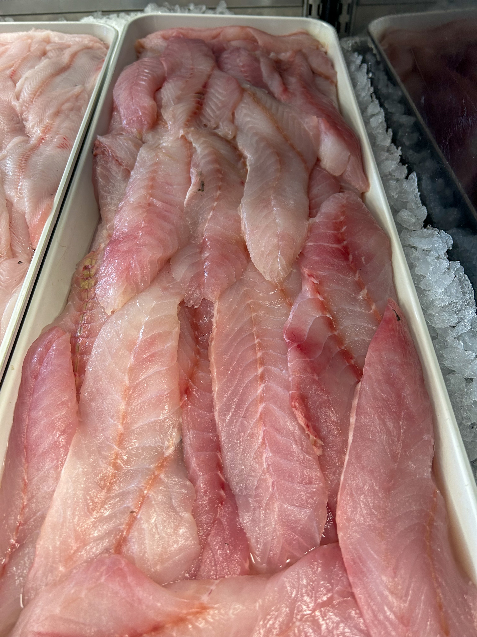 Rockfish - British Columbia