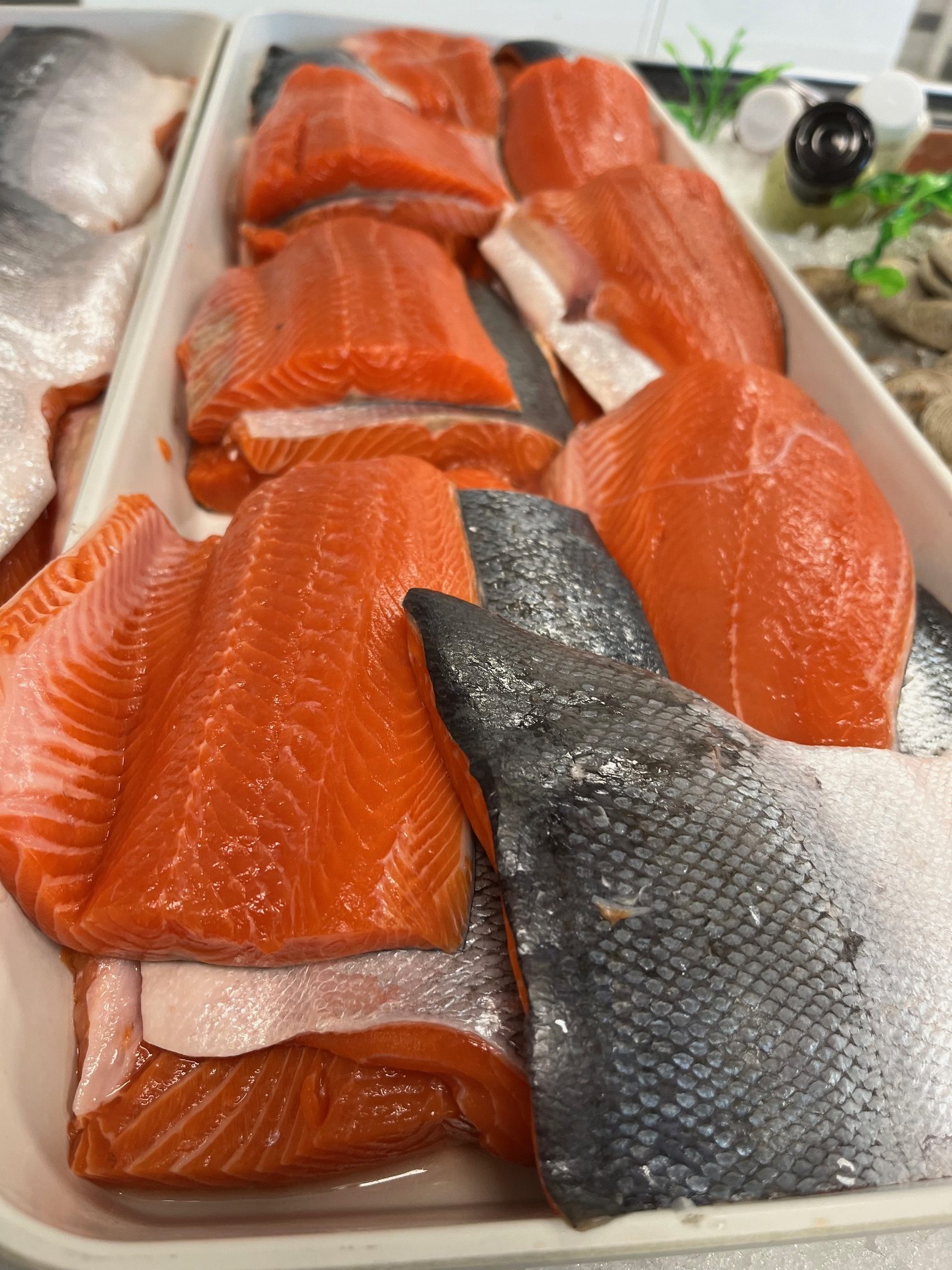 Sustainable Blue Salmon - Nova Scotia
