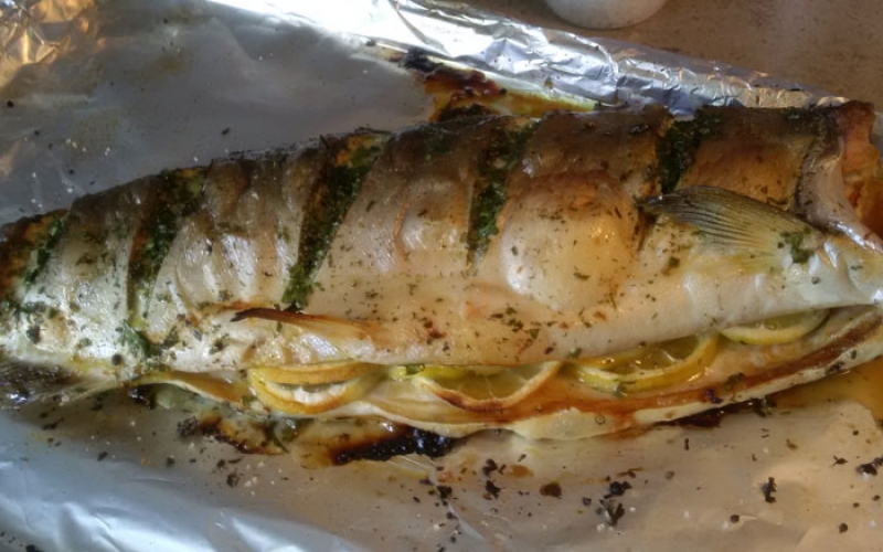 cooked-bc-salmon-on-the-bbq cooked-bc-salmon-on-the-bbq