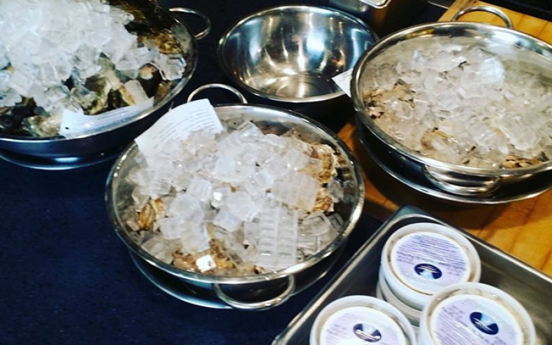 oysters oysters