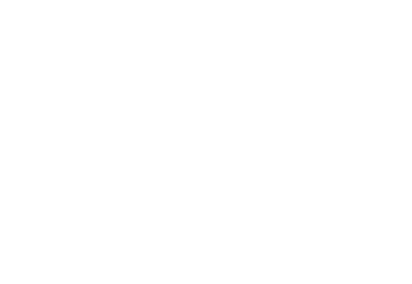 effingstore effingstore
