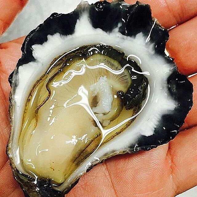 JAMAICAN ME HOT OYSTER SAUCE • Effing Seafoods